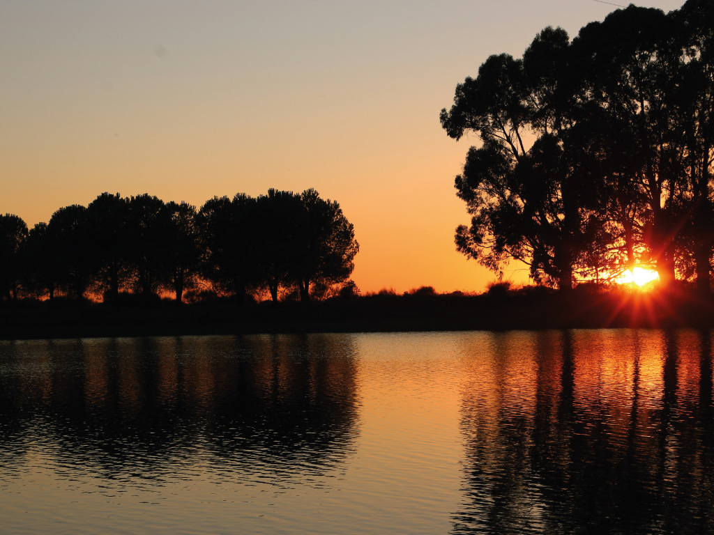 Sunset in the Alentejo region reflected in a body of water, with silhouettes of typical trees, image related to the news article: The Ultimate Destination for Wine Tourism and Sustainability.
