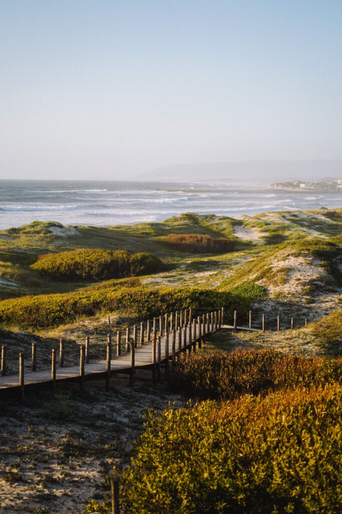 An idyllic and preserved coastal scene in the sand dunes of Comporta.